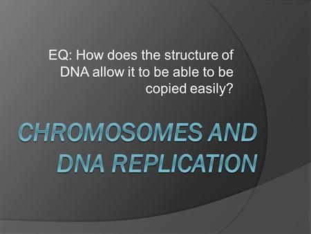 EQ: How does the structure of DNA allow it to be able to be copied easily?