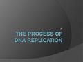 :P. DNA replication is a semi-conservative process. One strand serves as the template for the second strand. DNA replication is initiated at a region.