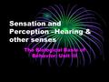 Sensation and Perception –Hearing & other senses The Biological Basis of Behavior: Unit III.