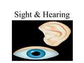 Sight & Hearing. Sense of Hearing Outer (External) Ear The outer ear consists of three parts Auricle- An earlike structure; the portion of the heart that.