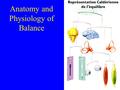 Anatomy and Physiology of Balance Vestibular Hair Cells Type I (aka inner) Type II (aka outer) With Kinocilium.