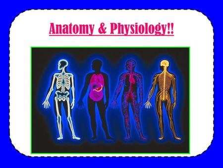 Anatomy & Physiology!!. DO NOW Lets review some biology… –How are our bodies organized? –What are the characteristics of life? –What factors do our bodies.
