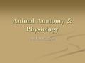 Animal Anatomy & Physiology An Introduction. Define Anatomy & Physiology Anatomy - The What – The physical FORM and parts of an organism. Physiology -