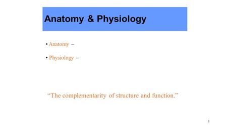 1 Anatomy & Physiology Anatomy – Physiology – “The complementarity of structure and function.”