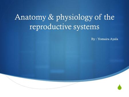  Anatomy & physiology of the reproductive systems By : Yomaira Ayala.