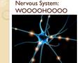 Nervous System: WOOOOHOOOO. Nervous System - Functions - Collects information about the body’s internal and external environment - Regulates organs -