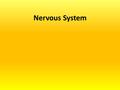 Nervous System. The Nervous System Two main systems: –Central Nervous System (CNS) The body’s decision maker –Peripheral Nervous System (PNS) 1)Gathers.