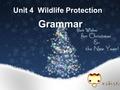 Unit 4 Wildlife Protection Grammar. 课本 P28: Exercise 1: 1. distant2. decrease3. powerful 4. affect5. appreciate6. hunt 7. protect…from 8. respond9. relief.