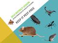 2012 DISTRICT LESSON SEVEN PRINCIPLES OF HEALTHY HOUSING KEEP IT PEST-FREE.