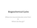 Biogeochemical Cycles Where do macromolecules come from & Where do they go?