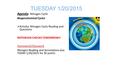 TUESDAY 1/20/2015 Agenda: Nitrogen Cycle Biogeochemical Cycles  Activity: Nitrogen Cycle Reading and Questions NOTEBOOK CHECKS TOMORROW!! Homework/Classwork.