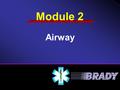 Airway Module 2. Airway The Respiratory System Opening the Airway Inspecting the Airway Airway Adjuncts Clear/Maintain Airway Breathing Ventilation Techniques.