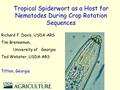 Tropical Spiderwort as a Host for Nematodes During Crop Rotation Sequences Richard F. Davis, USDA-ARS Tim Brenneman, University of Georgia Ted Webster,