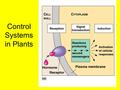 Control Systems in Plants. Plant Hormones What is a Plant hormone? Compound produced by one part of an organism that is translocated to other parts where.