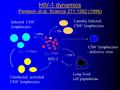 HIV-1 dynamics Perelson et.al. Science 271:1582 (1996) Infected CD4 + lymphocytes Uninfected, activated CD4 + lymphocytes HIV-1 t 1/2 - 1.6 days t 1/2.