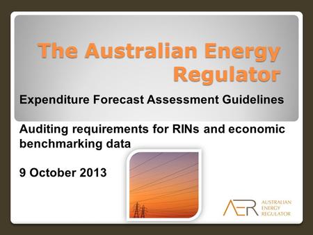 The Australian Energy Regulator Expenditure Forecast Assessment Guidelines Auditing requirements for RINs and economic benchmarking data 9 October 2013.
