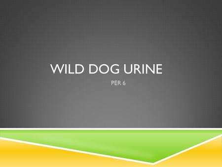 WILD DOG URINE PER 6. WHAT QUESTION DO YOU THINK SCIENTISTS ARE TRYING TO SOLVE?  USE THESE WORDS AS CLUES:  dog urine, conserve, scientists, endangered.