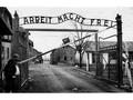 Language of Deception Arbeit Macht Frei: Which words do you think were coined by the Nazis as a language of deception, to mask what was really going on?
