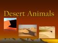 Desert Animals. What is a desert? The desert is a land of extremes: extreme heat and extreme dryness; sudden flash floods and cold nights. Because deserts.