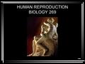 HUMAN REPRODUCTION BIOLOGY 269. COURSE HOMEPAGE:  The course syllabus is available online, linked to that homepage.