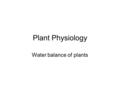 Plant Physiology Water balance of plants. Water in the soil The water content and the rate of water movement in soils depend to a large extent on soil.
