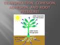 Cohesion and Adhesion Root pressure  Transpiration: evaporation from the leaves creates a pull that draws water up through the stem.