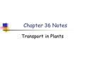 Chapter 36 Notes Transport in Plants. Concept 36.1.