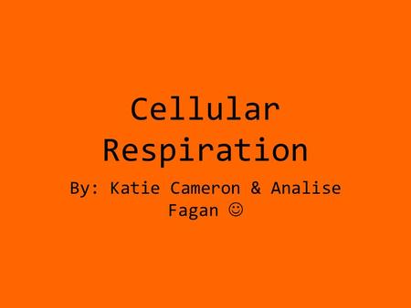 Cellular Respiration By: Katie Cameron & Analise Fagan.