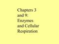 Chapters 3 and 9: Enzymes and Cellular Respiration.