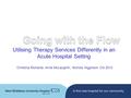 Utilising Therapy Services Differently in an Acute Hospital Setting Christina Richards, Anne McLaughlin, Nichola Higginson Oct 2012.