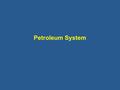 Petroleum System.
