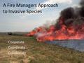 A Fire Managers Approach to Invasive Species Cooperate Coordinate Collaborate.