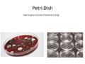 Petri Dish Used to grow cultures of bacteria or fungi.