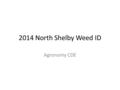 2014 North Shelby Weed ID Agronomy CDE. Lambsquarter- SA.