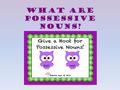 What are possessive nouns?. First, let’s remember what a NOUN is. A noun is a person, place, thing, or idea.