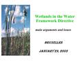 Wetlands in the Water Framework Directive main arguments and issues Bruxelles January 29, 2003.