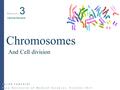 Javad Jamshidi Fasa University of Medical Sciences, October 2014 Session 3 Medical Genetics Chromosomes And Cell division.