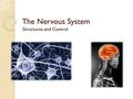 The Nervous System Structures and Control. Central Nervous System Already know it consists of the brain and spinal cord Both are bathed in the cerebrospinal.