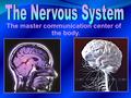 The master communication center of the body.. 3 Main Functions:  Monitor all information about changes occurring both inside and outside the body. 