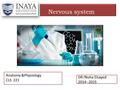 DR /Noha Elsayed 2014--2015 Anatomy &Physiology CLS 221 Nervous system.
