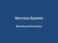 Nervous System Structure & Function. Nervous System Master control & communication system for the body Works with other systems to maintain homeostasis.