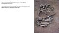 Here is a picture of the skeletons found in the dig that accompanies the article. How does the use of the phrase ‘Preshistoric Romeo and Juliet’ affect.