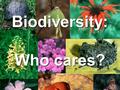 Biodiversity: Who cares?. What do you think biodiversity means?