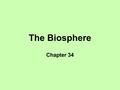 The Biosphere Chapter 34. Ecological Terms Population - group of the same species in a given geographical area Community - all organisms of any species.