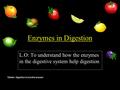 Enzymes in Digestion L.O: To understand how the enzymes in the digestive system help digestion Starter: digestion know the answer.