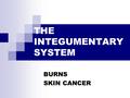 THE INTEGUMENTARY SYSTEM BURNS SKIN CANCER. Layers of the Skin Epidermis  Stratum Corneum  Stratum Lucidum  Stratum Granulosum  Stratum Spinosum 
