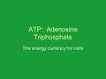 ATP: Adenosine Triphosphate The energy currency for cells.