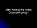 Aim: What is the formal Criminal Process?. The Formal Criminal Process 1. Initial Contact- Citizen and Police contact. 2. Investigation- Identification.