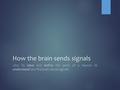 How the brain sends signals LO2: To label and define the parts of a neuron to understand how the brain sends signals.