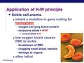 AP Biology Application of H-W principle  Sickle cell anemia  inherit a mutation in gene coding for hemoglobin  oxygen-carrying blood protein  recessive.